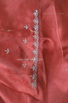 Blush & Bash - DESIGNER SAREE