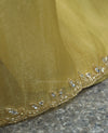 GOLDEN FIZZ - DESIGNER SAREE